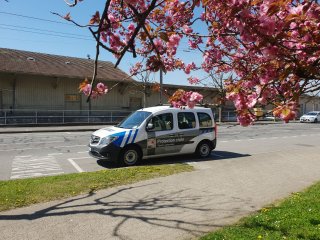 Of piquet janvier 2018
